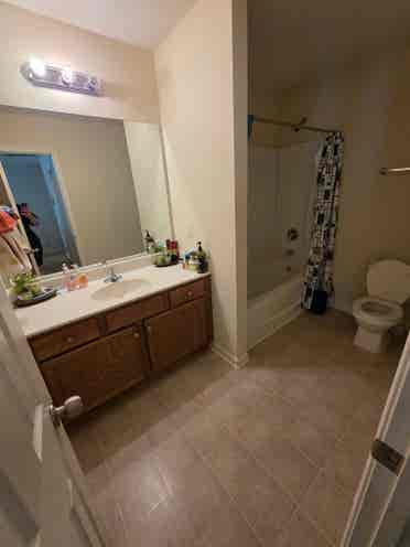 Roommate wanted