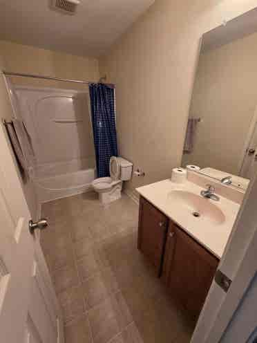 Roommate wanted