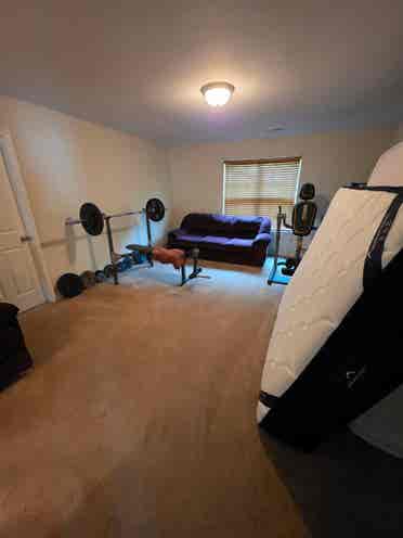 Roommate wanted
