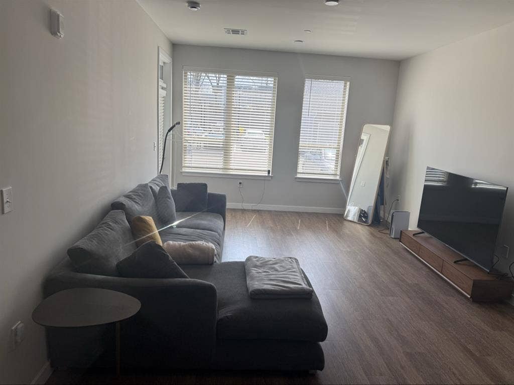 Roommate Wanted the living room
