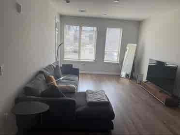 Roommate Wanted the living room 