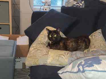 Female only. bath furnished