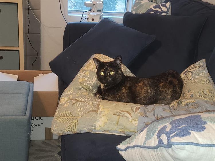 Female only. Furnished. Private Bth