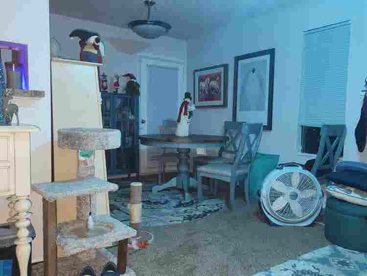 Female only. Furnished. Private Bth