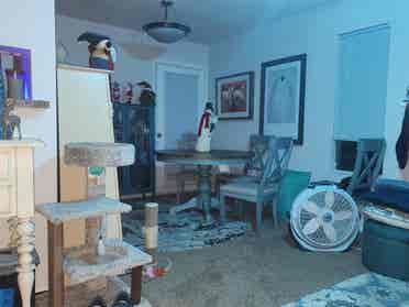 Female only. bath furnished