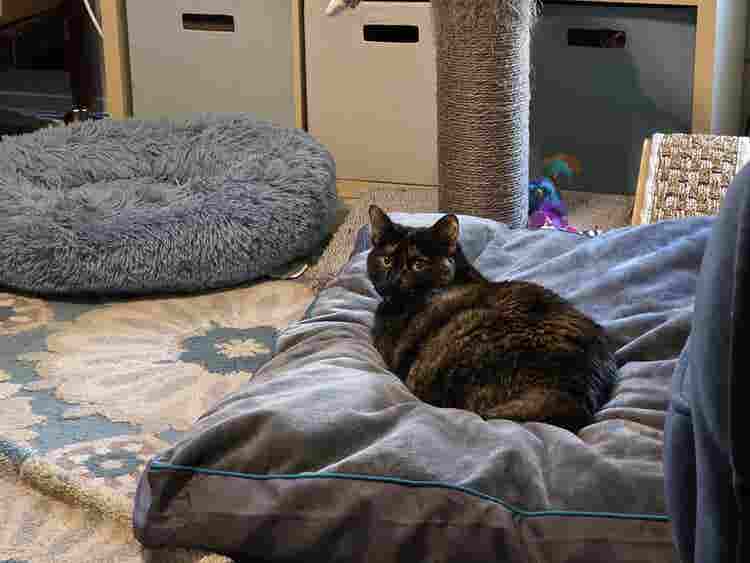 Female only. Furnished. Private Bth