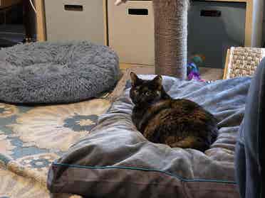 Female only. bath furnished