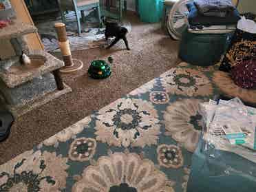 Female only. bath furnished