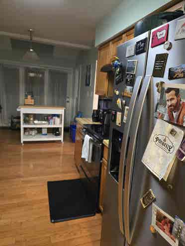 Basement Suite for rent $/month