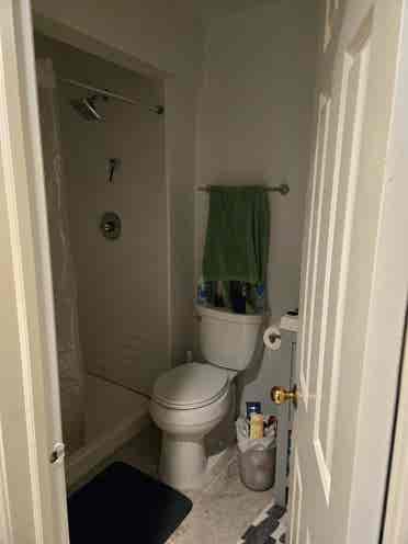 Basement Suite for rent $/month