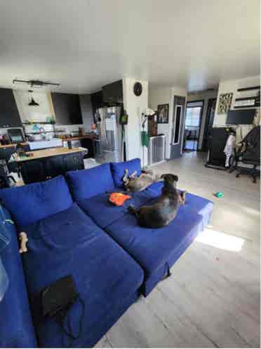 Room for rent (no kids)