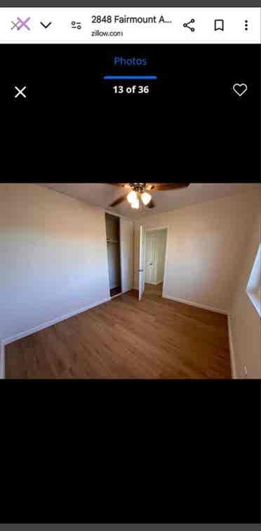 Roommate needed in azalea park