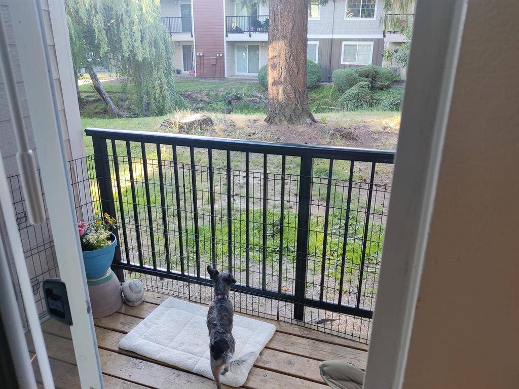 Room available in ba