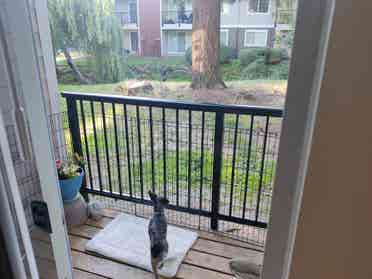 Room available in ba