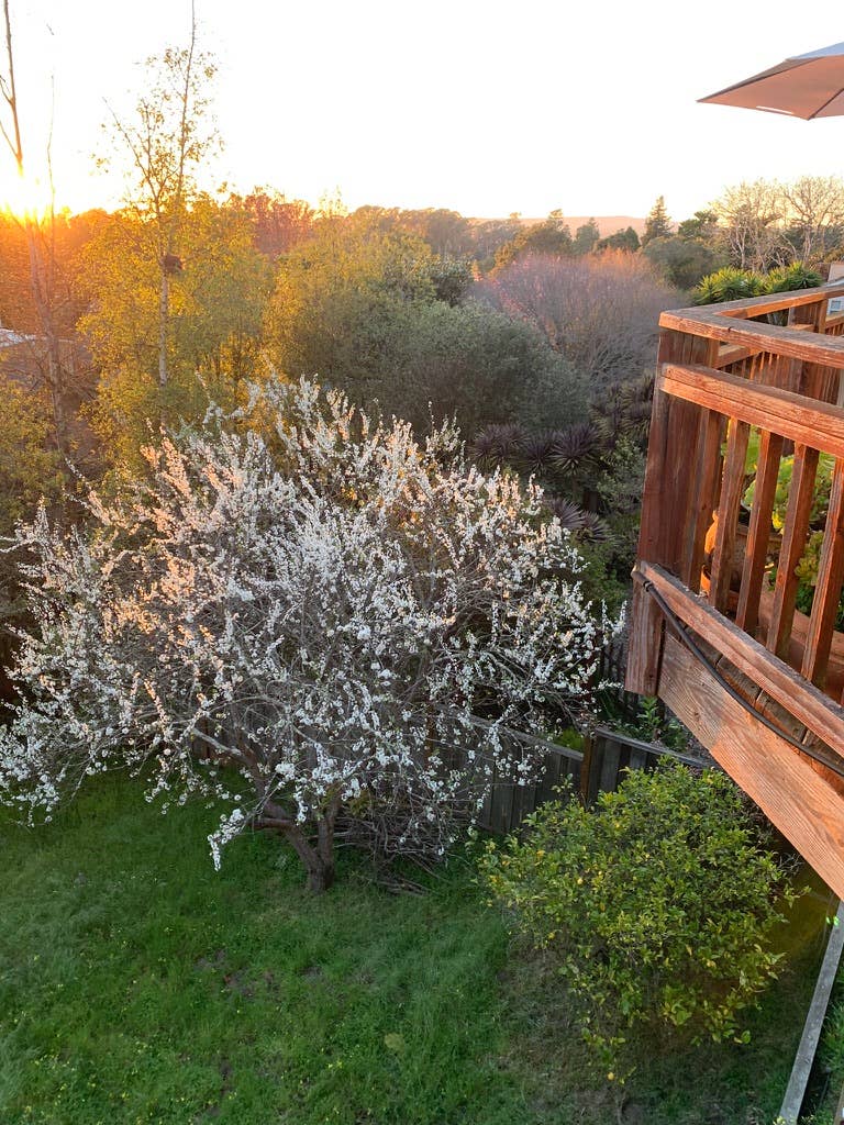 Room in ocean view house until Oct