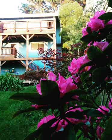Room in ocean view house until Oct