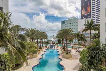 Room available in Downtown Miami