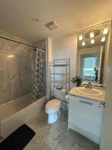 Room available in Downtown Miami