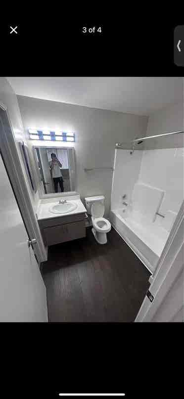 Looking for a roommate!