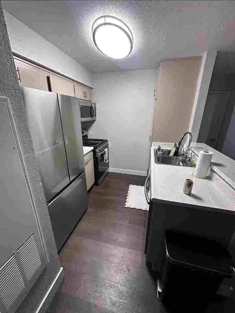 Looking for a roommate!