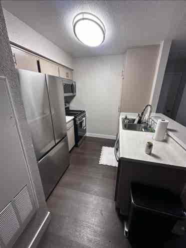 Looking for a roommate!