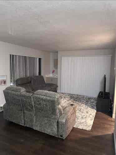 Looking for a roommate!