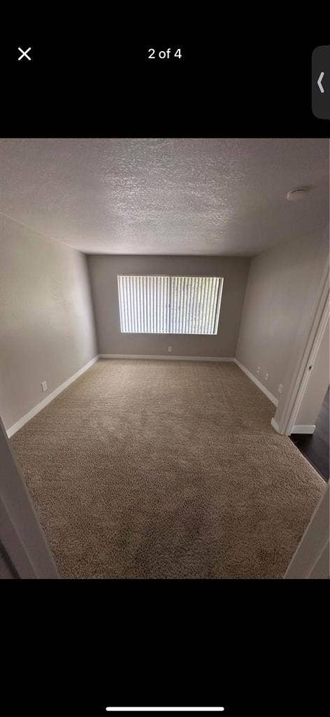 Looking for a roommate!