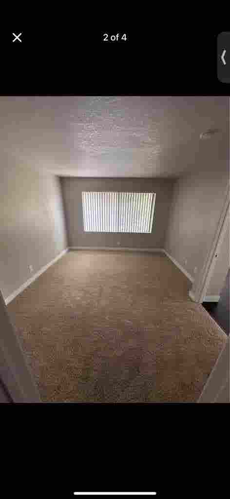 Looking for a roommate!