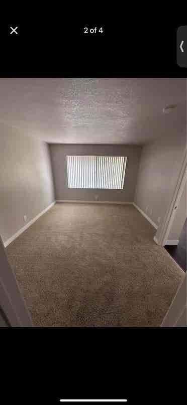 Looking for a roommate!