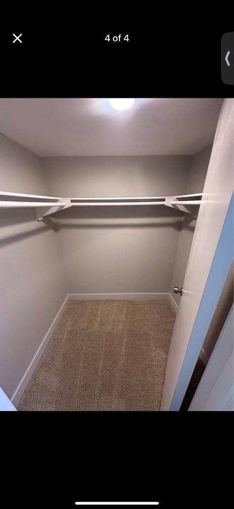 Looking for a roommate!