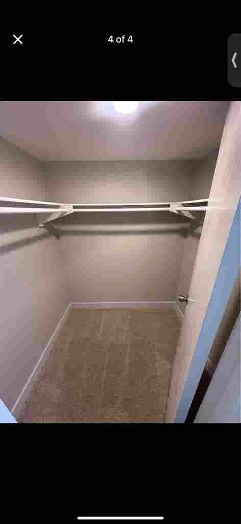 Looking for a roommate!