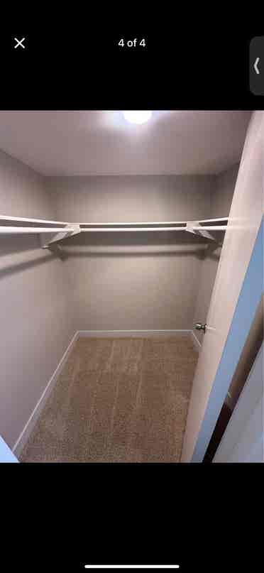 Looking for a roommate!
