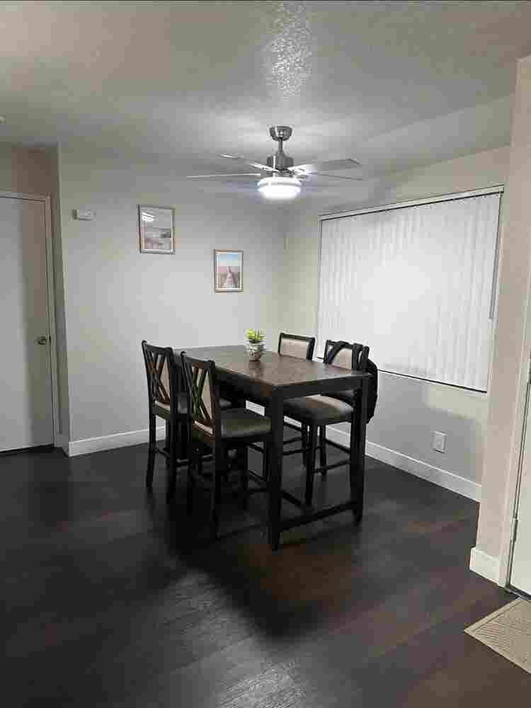 Looking for a roommate!