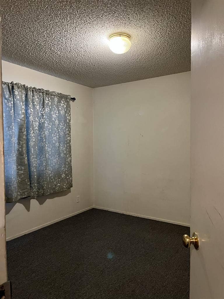Roommate Needed