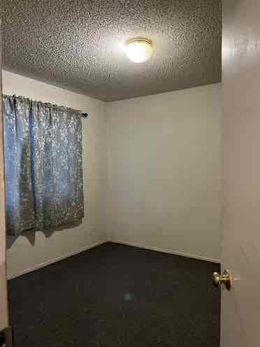 Roommate Needed