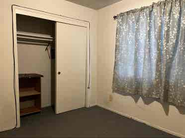 Roommate Needed