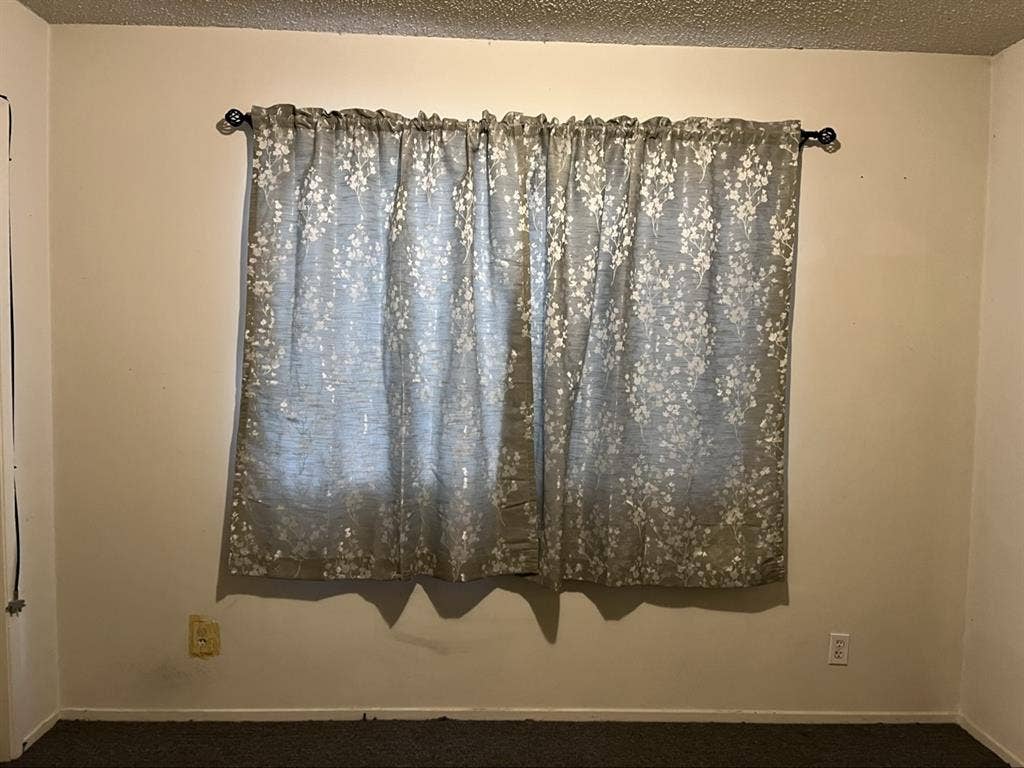 Roommate Needed