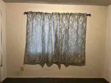 Roommate Needed