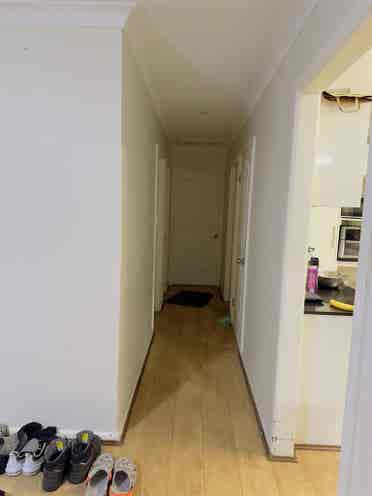 Looking for tenants