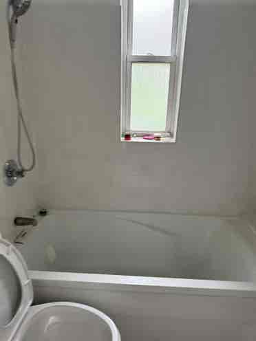Yard! Washer/Dryer! Private Bath!