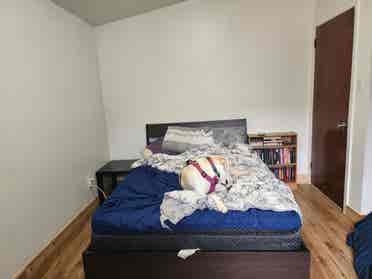 2 rooms for rent in bungalow.