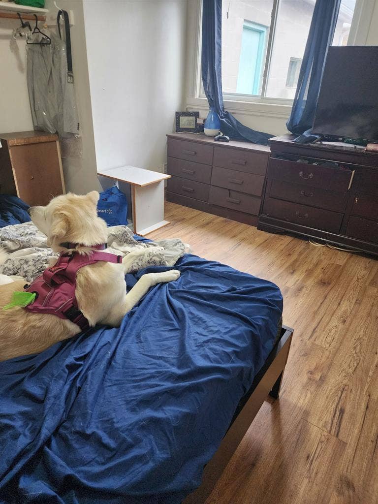 2 rooms for rent in bungalow.