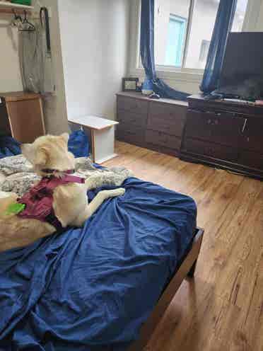 2 rooms for rent in bungalow.