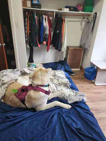 2 rooms for rent in bungalow.