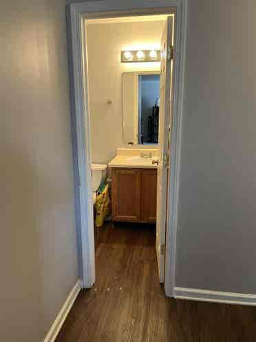 [ROOMMATE WANTED] no pets, no kids