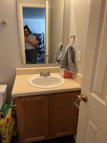 [ROOMMATE WANTED] no pets, no kids