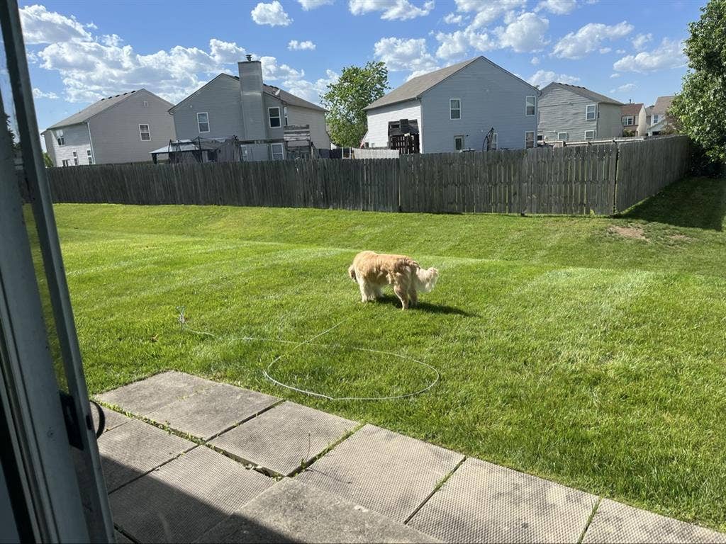 [ROOMMATE WANTED] no pets, no kids