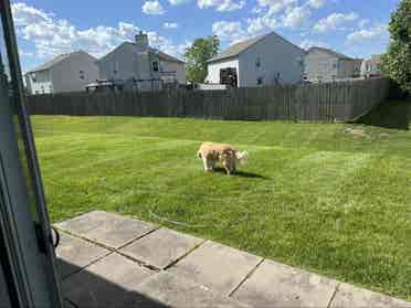 [ROOMMATE WANTED] no pets, no kids