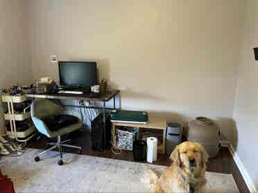 [ROOMMATE WANTED] no pets, no kids