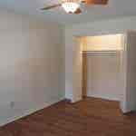 Roomate needed